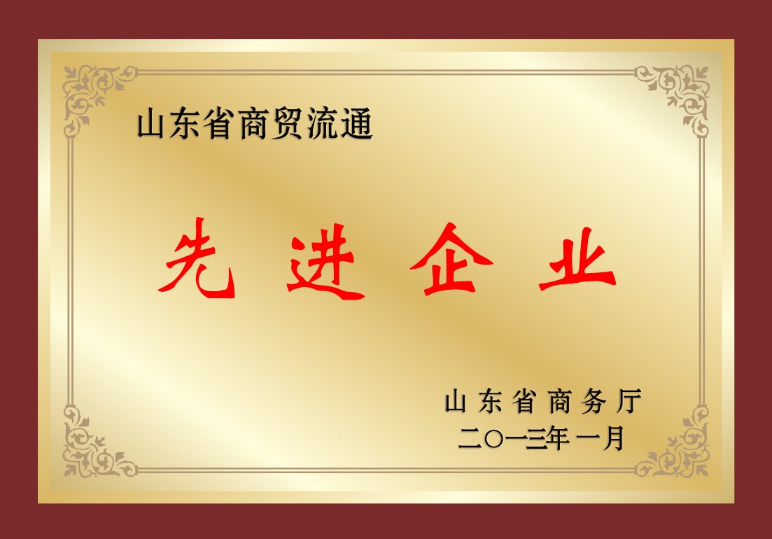 2012年山东省商贸流通先进企业