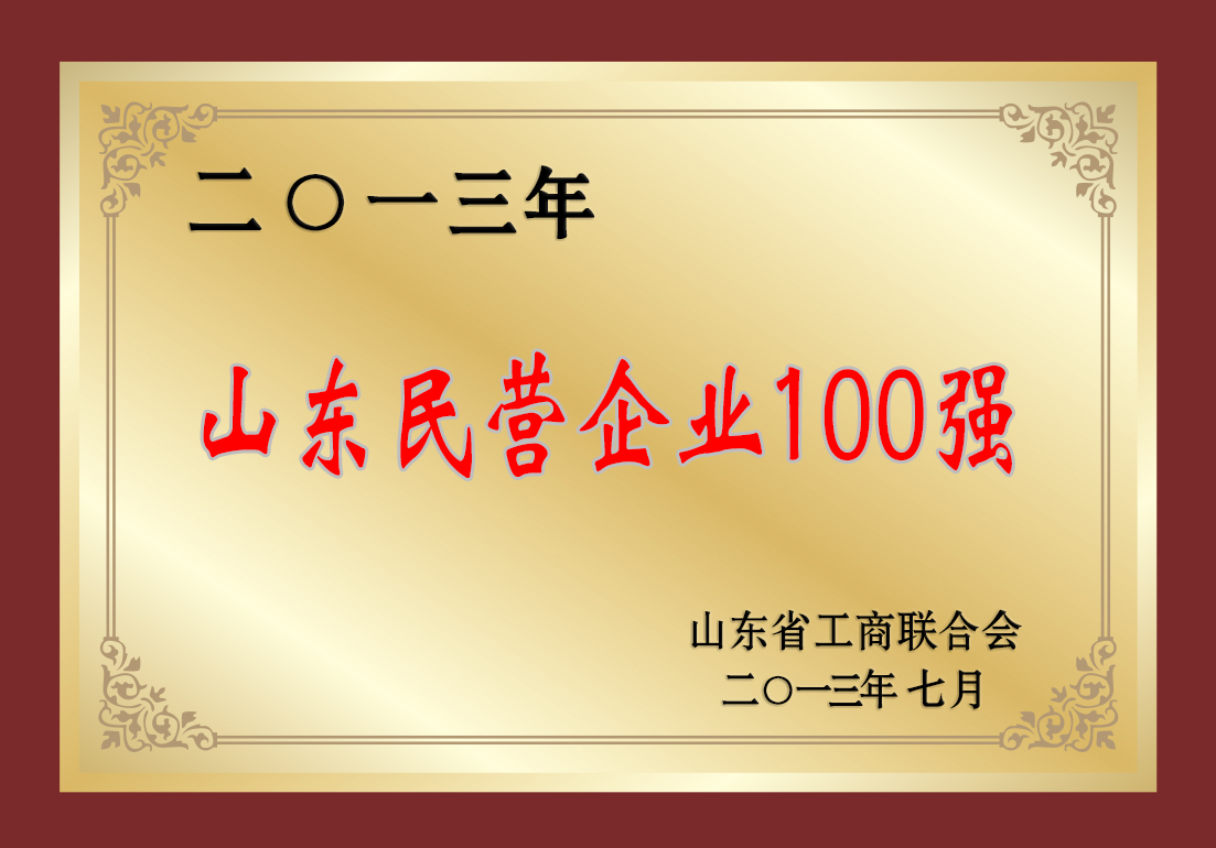 2013年山东民营企业100强