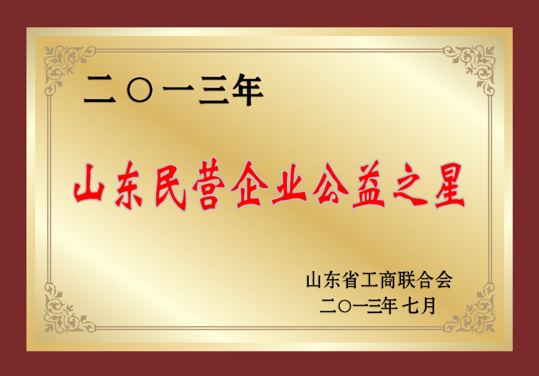 2013年山东民营企业公益之星