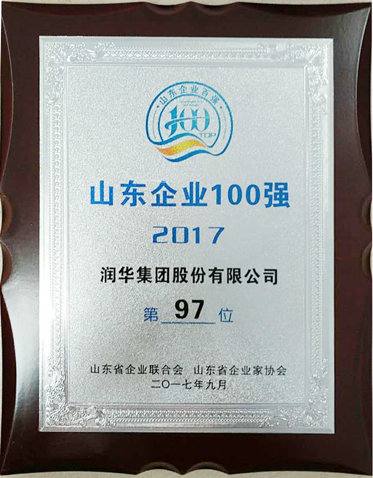2017年山东企业100强