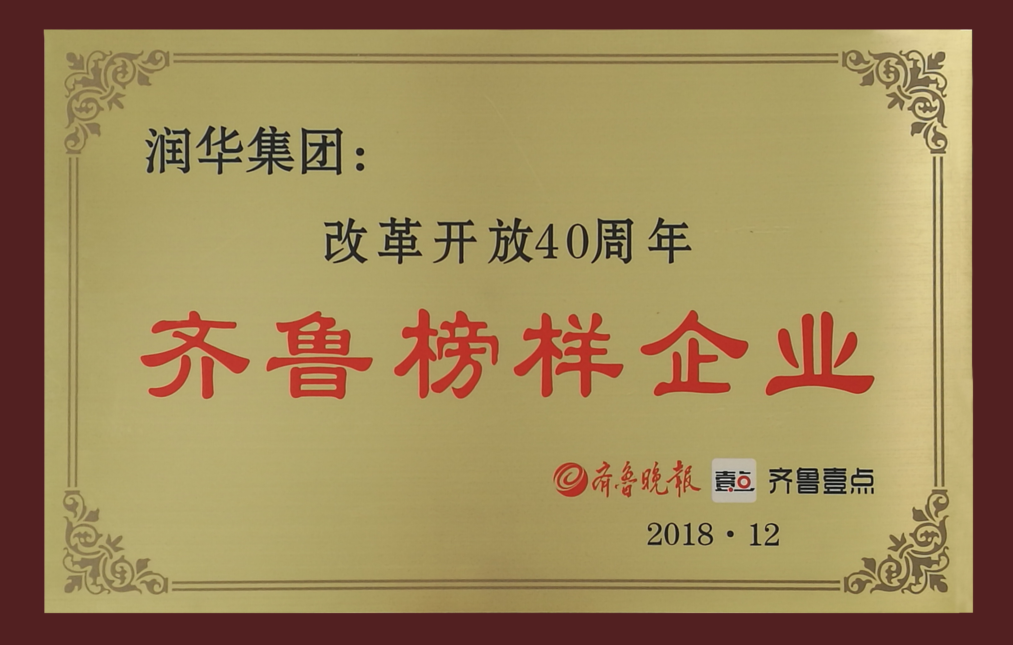 改革开放40周年齐鲁榜样奖
