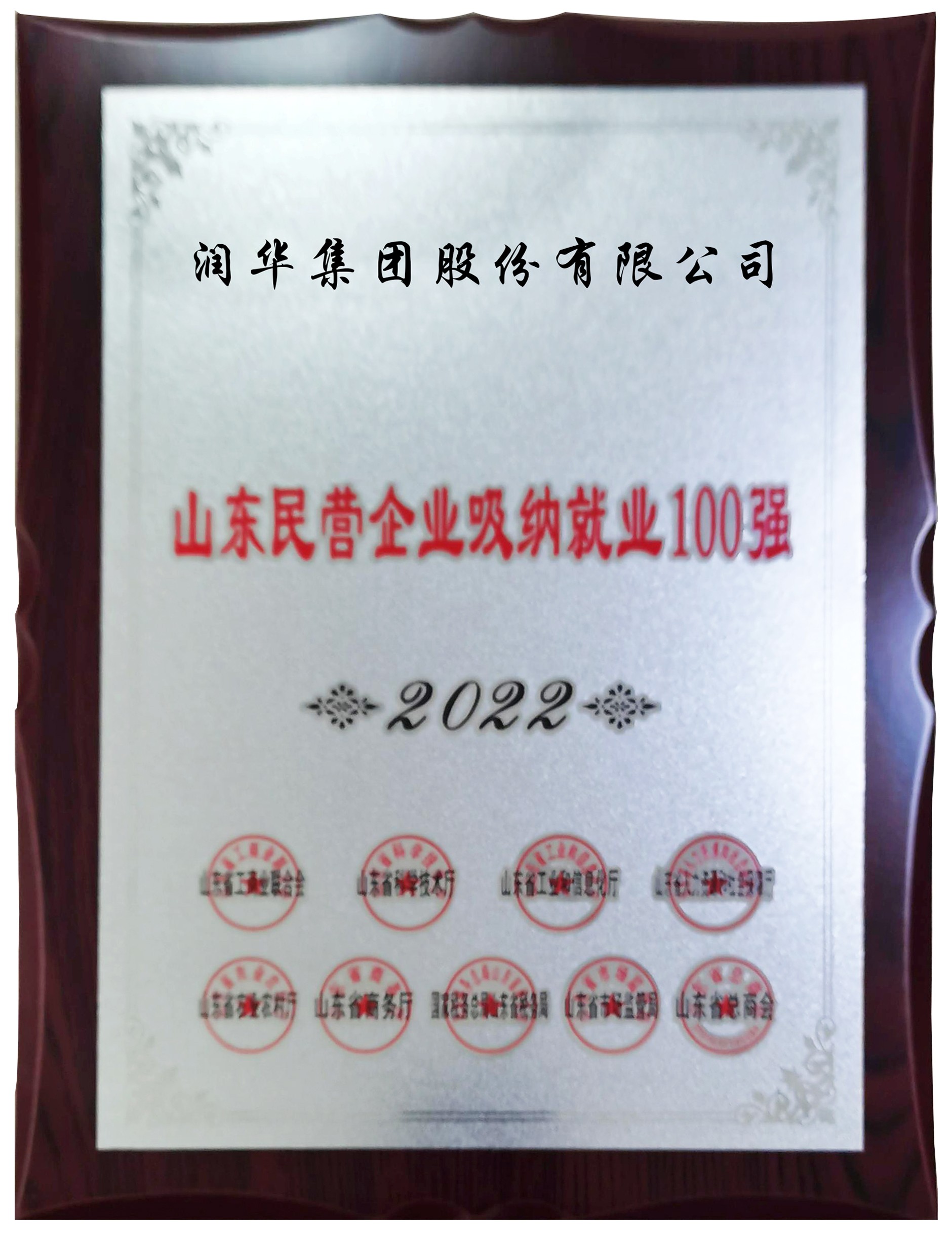 2022年山东省吸纳就业100强