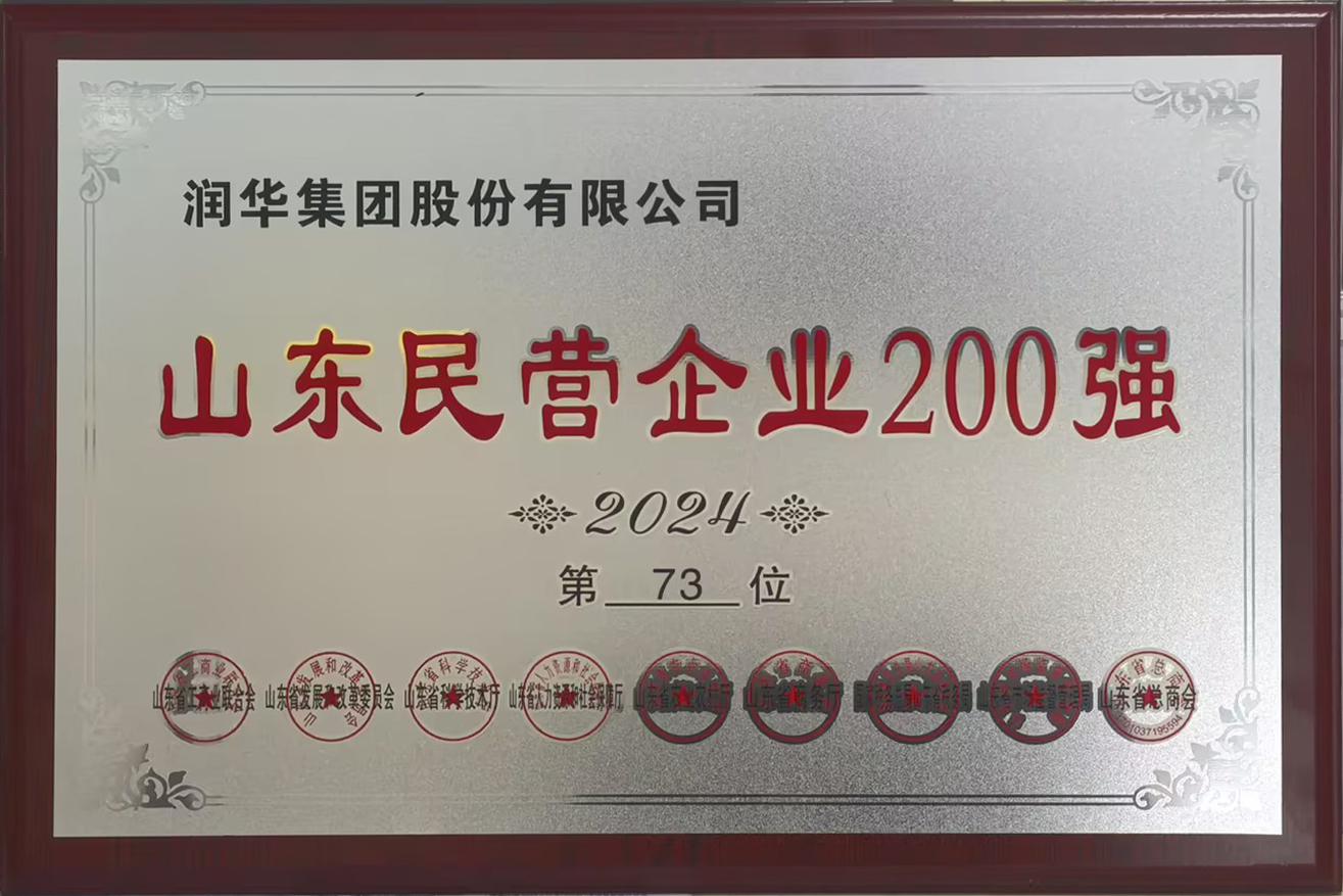 2024山东省民营企业200强
