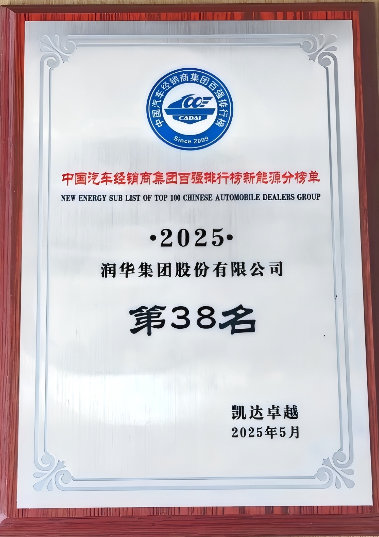 2025年中国汽车经销商集团新能源百强第38名