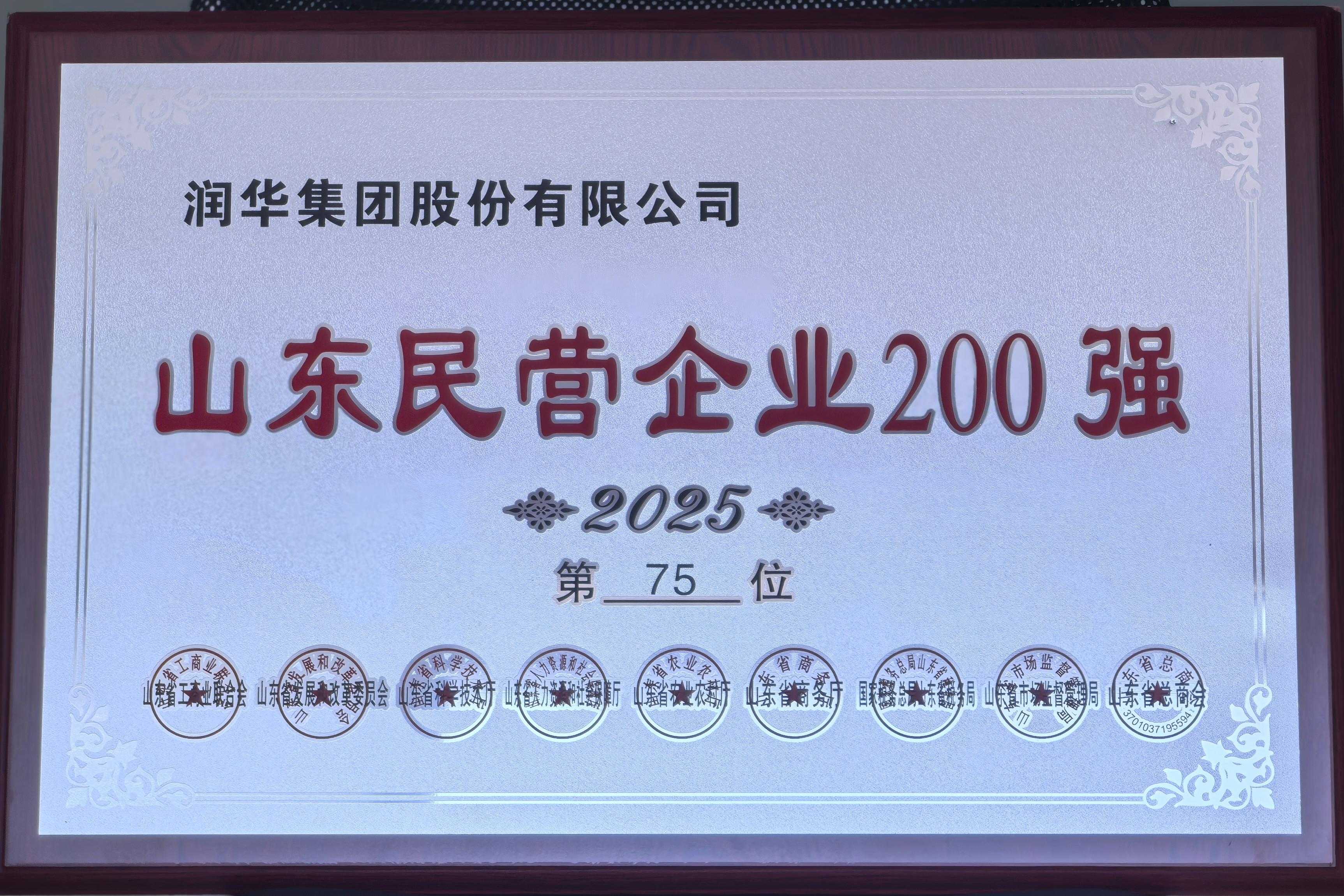 2025年山东省民营企业200强第75位